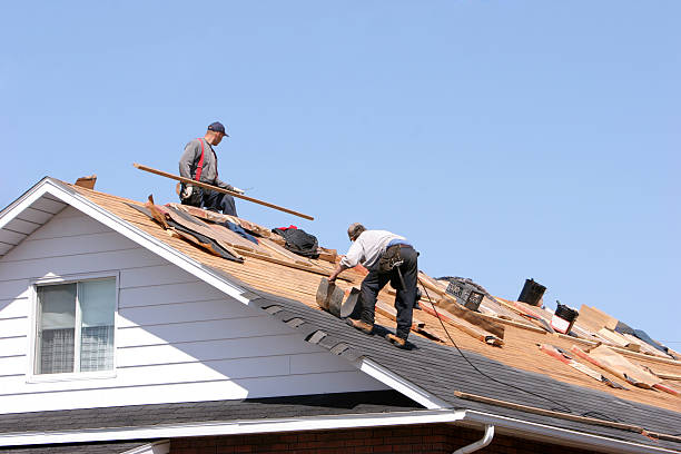 Skylights in Cedarville, OH